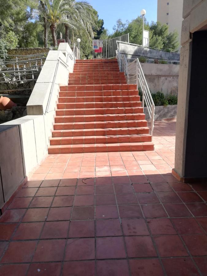 Gemelos 15 Turis - Premium Apartamentos Benidorm Esterno foto